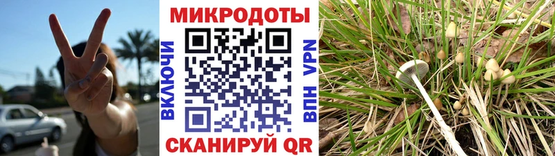 Псилоцибиновые грибы GOLDEN TEACHER Курлово