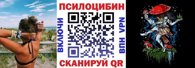 Псилоцибиновые грибы MAGIC MUSHROOMS  цены   Курлово 